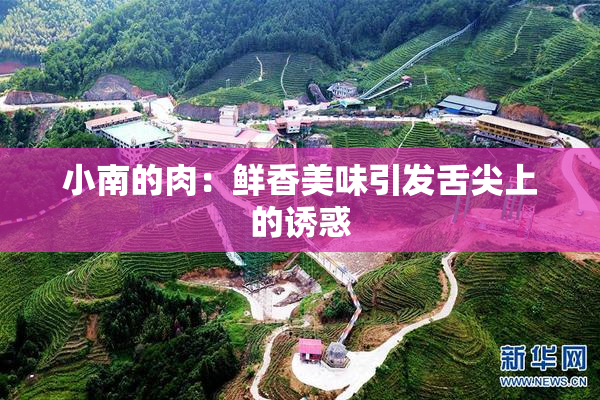 小南的肉：鲜香美味引发舌尖上的诱惑