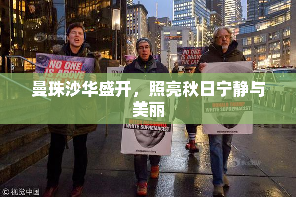 曼珠沙华盛开，照亮秋日宁静与美丽