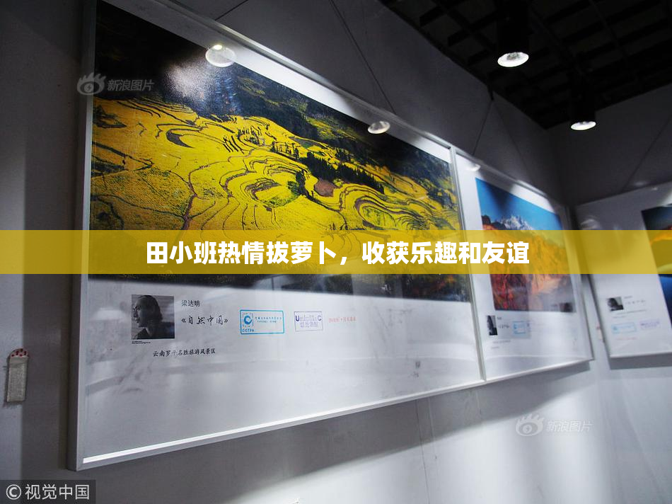 田小班热情拔萝卜，收获乐趣和友谊