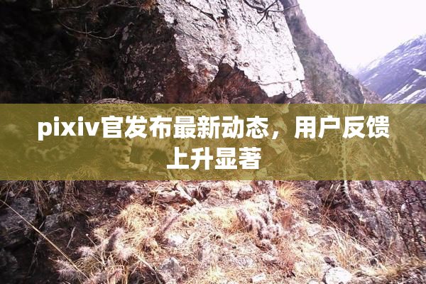 pixiv官发布最新动态，用户反馈上升显著