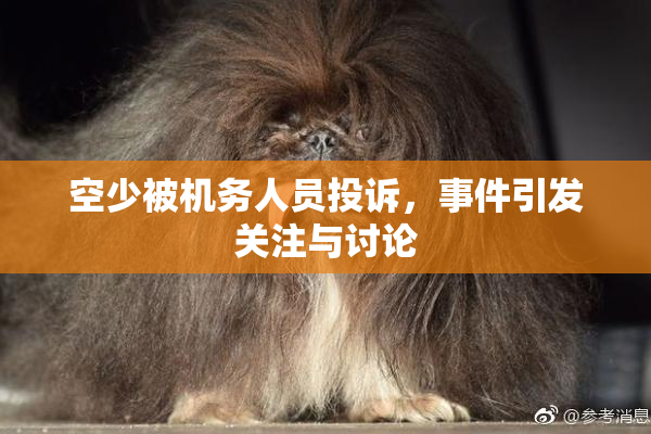 空少被机务人员投诉，事件引发关注与讨论