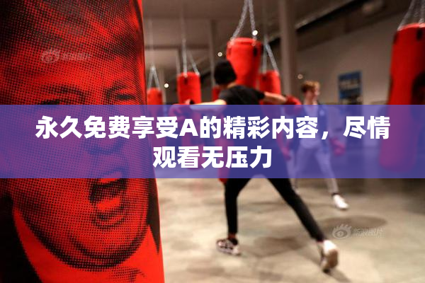 永久免费享受A的精彩内容，尽情观看无压力