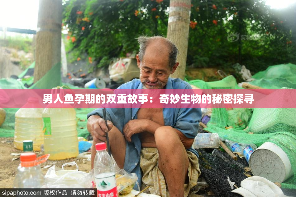 男人鱼孕期的双重故事：奇妙生物的秘密探寻