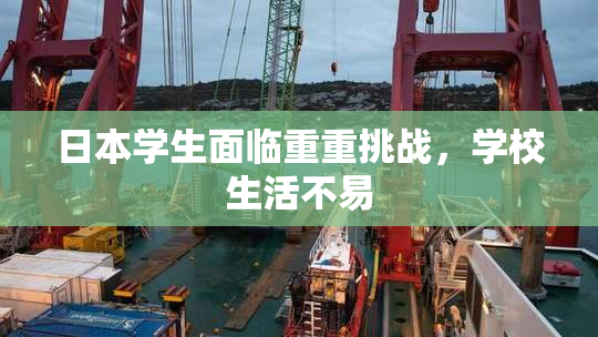 日本学生面临重重挑战，学校生活不易
