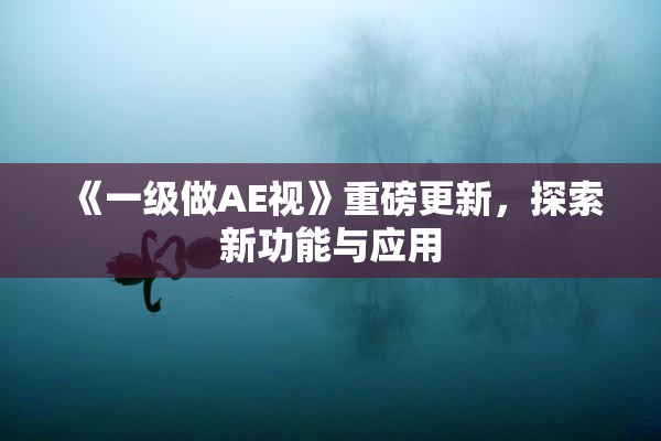 《一级做AE视》重磅更新，探索新功能与应用