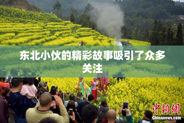 东北小伙的精彩故事吸引了众多关注