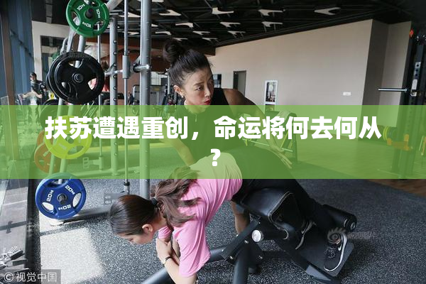 扶苏遭遇重创，命运将何去何从？