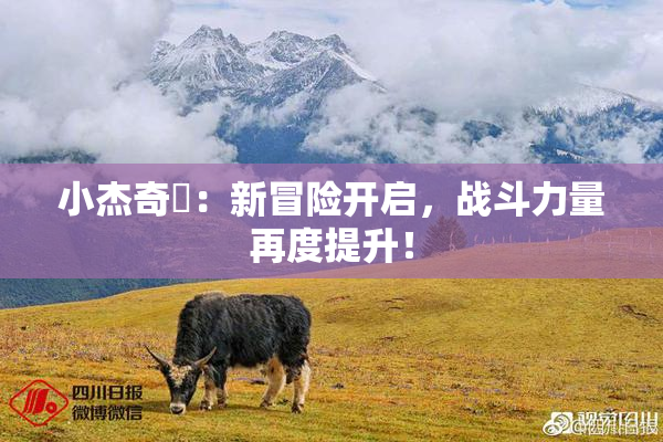 小杰奇犽：新冒险开启，战斗力量再度提升！