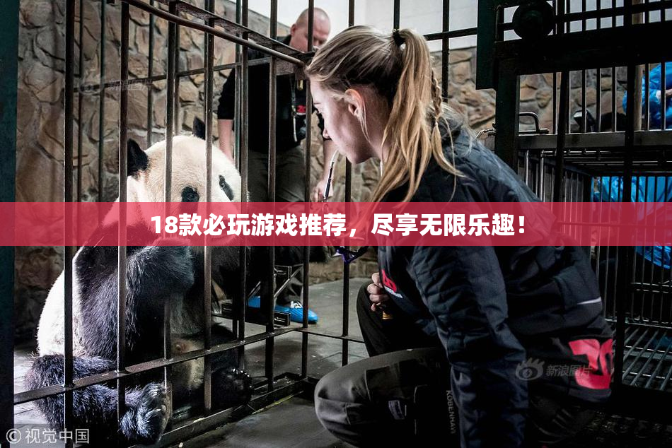 18款必玩游戏推荐，尽享无限乐趣！