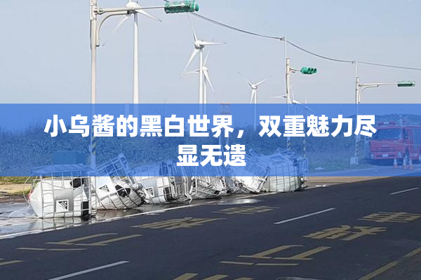 小乌酱的黑白世界，双重魅力尽显无遗