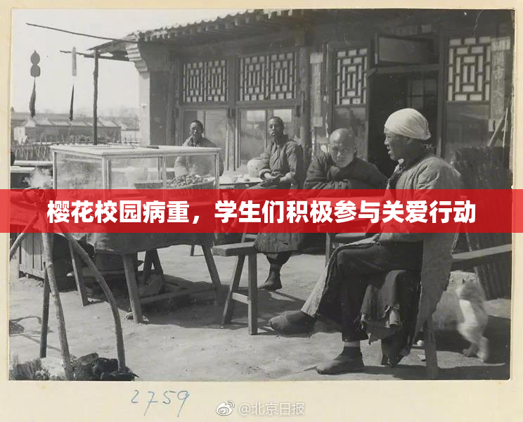 樱花校园病重，学生们积极参与关爱行动