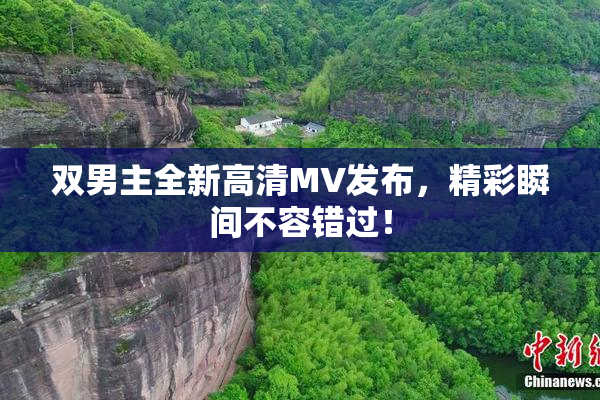 双男主全新高清MV发布，精彩瞬间不容错过！