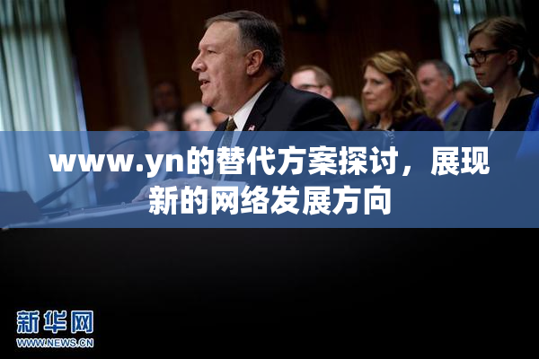 www.yn的替代方案探讨，展现新的网络发展方向
