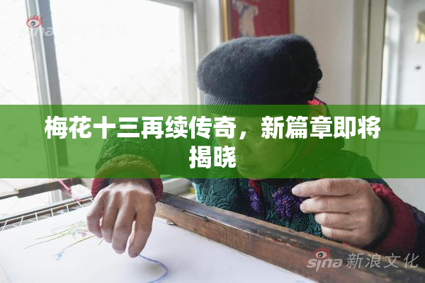 梅花十三再续传奇，新篇章即将揭晓