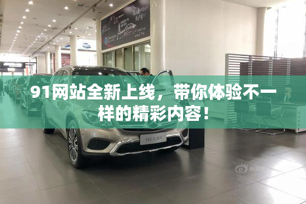 91网站全新上线，带你体验不一样的精彩内容！