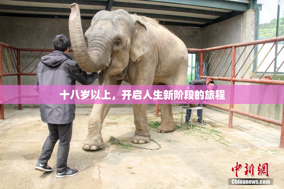 十八岁以上，开启人生新阶段的旅程