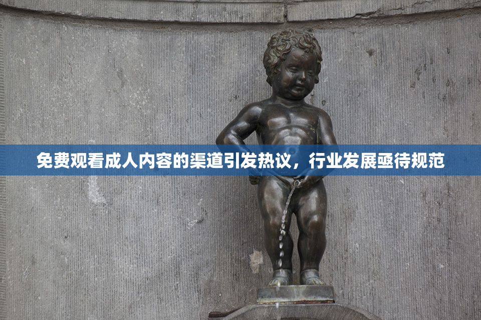 免费观看成人内容的渠道引发热议，行业发展亟待规范