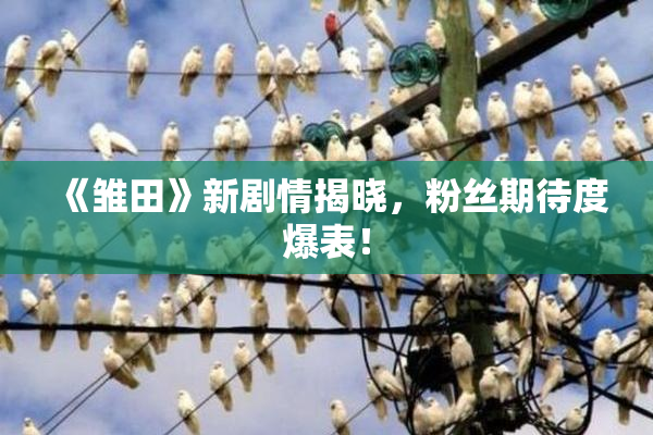 《雏田》新剧情揭晓，粉丝期待度爆表！