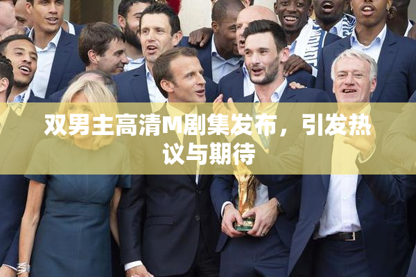 双男主高清M剧集发布，引发热议与期待