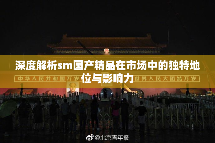 深度解析sm国产精品在市场中的独特地位与影响力