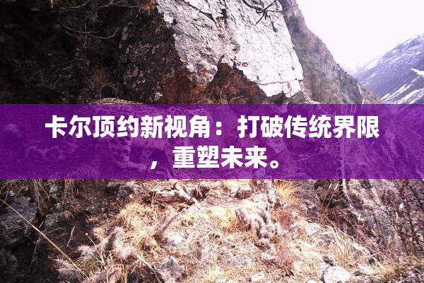 卡尔顶约新视角：打破传统界限，重塑未来。