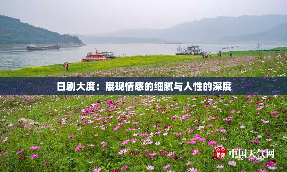 日剧大度：展现情感的细腻与人性的深度