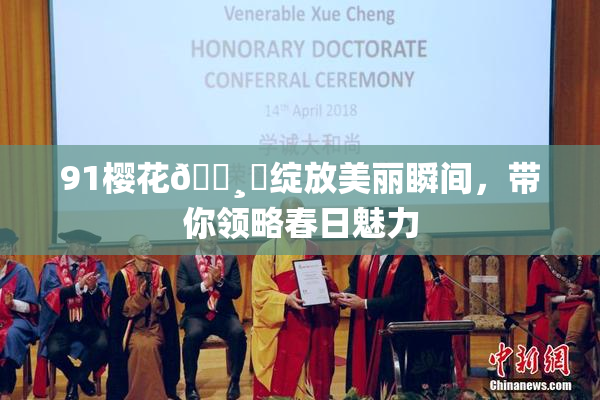 91樱花🌸‌绽放美丽瞬间，带你领略春日魅力