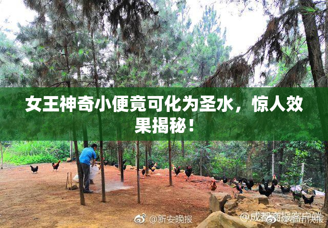 女王神奇小便竟可化为圣水，惊人效果揭秘！