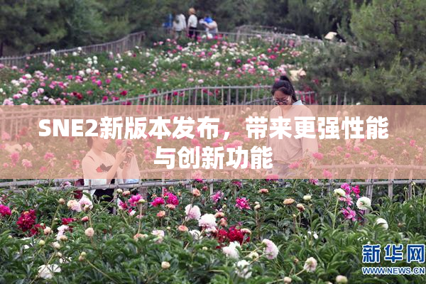 SNE2新版本发布，带来更强性能与创新功能