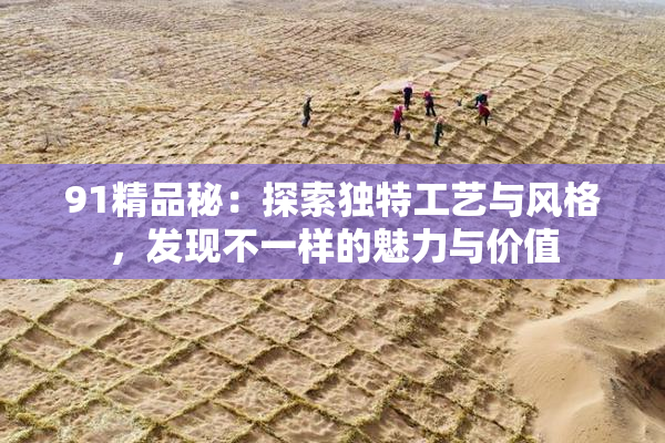 91精品秘：探索独特工艺与风格，发现不一样的魅力与价值