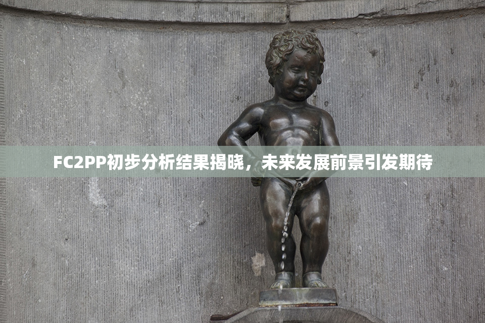 FC2PP初步分析结果揭晓，未来发展前景引发期待
