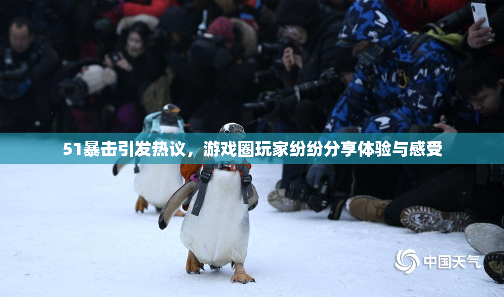 51暴击引发热议，游戏圈玩家纷纷分享体验与感受