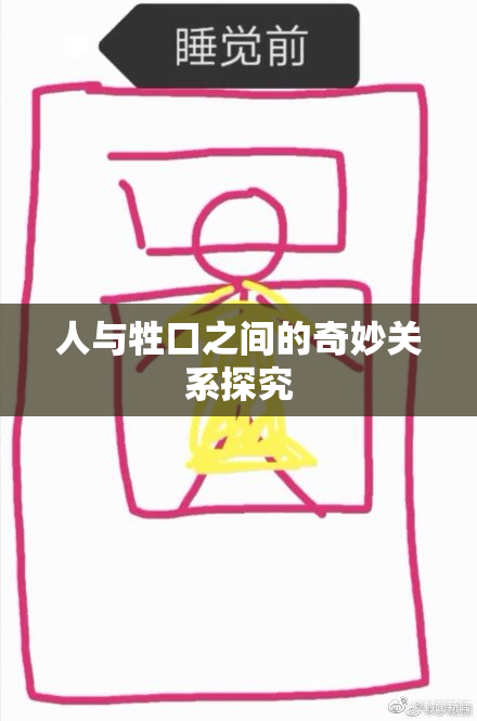 人与牲口之间的奇妙关系探究