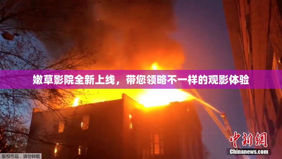 嫩草影院全新上线，带您领略不一样的观影体验