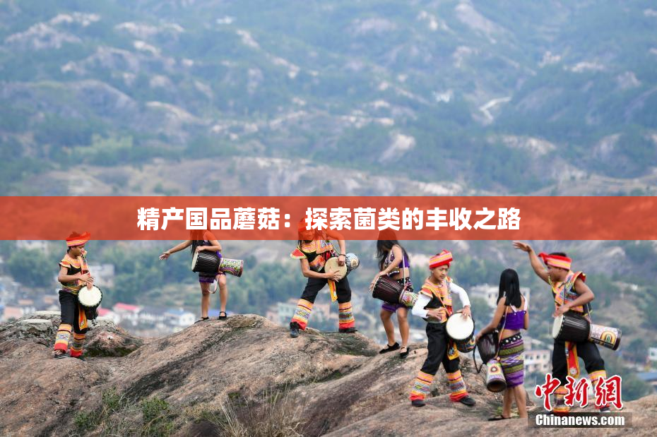 精产国品蘑菇：探索菌类的丰收之路