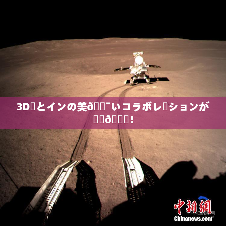 3D姉とインの美🔯いコラボレーションが話題🎆！