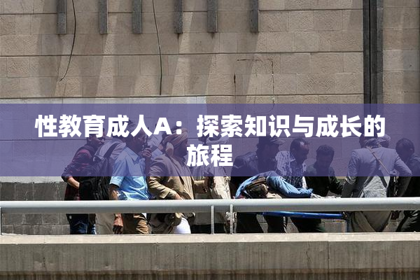 性教育成人A：探索知识与成长的旅程
