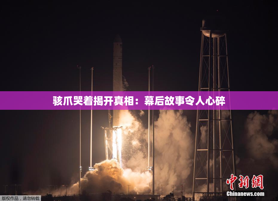 骇爪哭着揭开真相：幕后故事令人心碎
