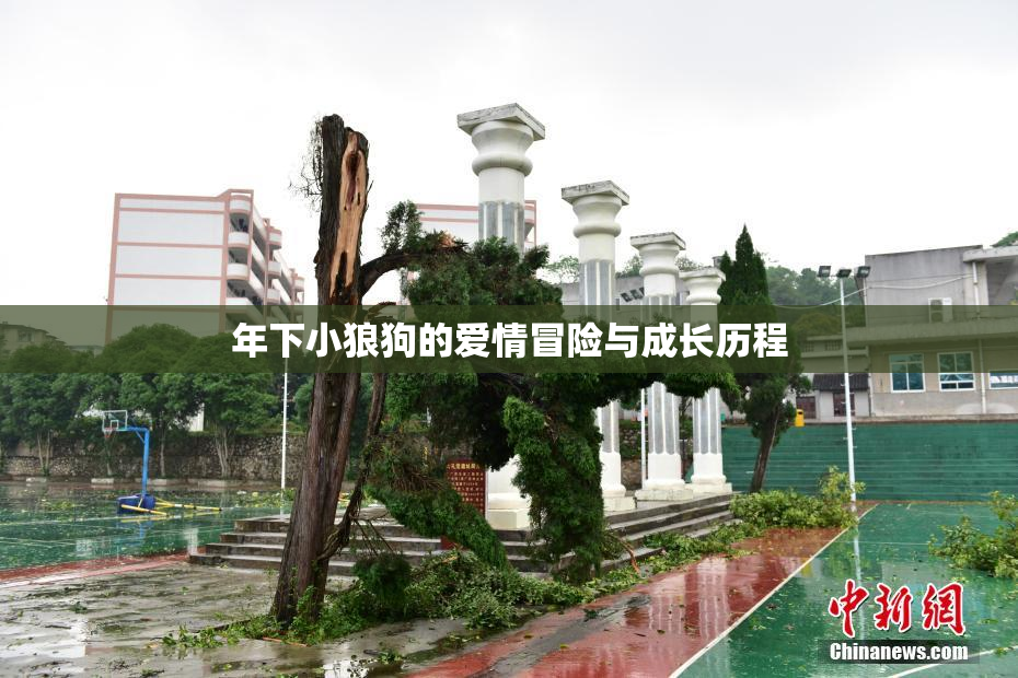 年下小狼狗的爱情冒险与成长历程