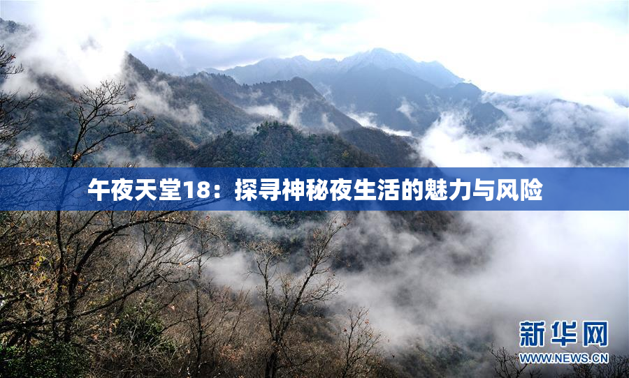 午夜天堂18：探寻神秘夜生活的魅力与风险