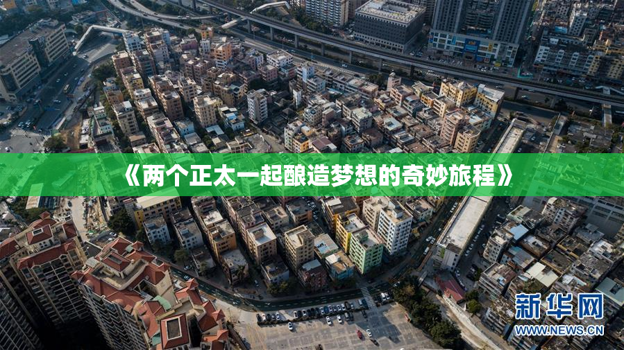 《两个正太一起酿造梦想的奇妙旅程》