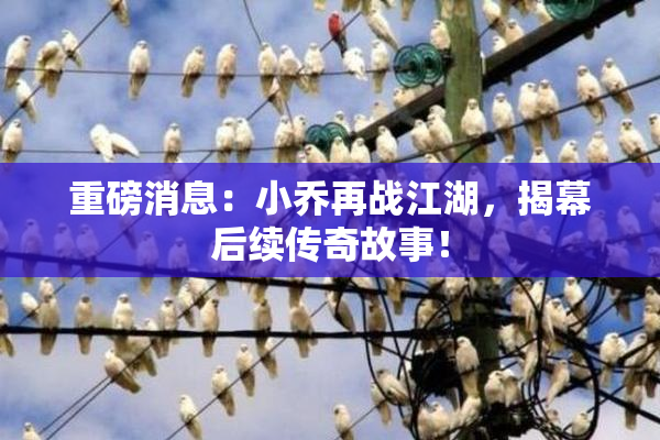 重磅消息：小乔再战江湖，揭幕后续传奇故事！
