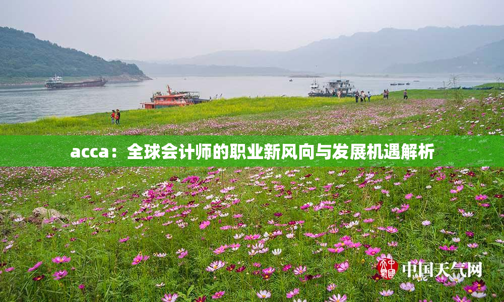 acca：全球会计师的职业新风向与发展机遇解析