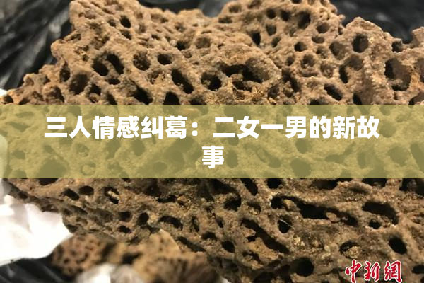三人情感纠葛：二女一男的新故事