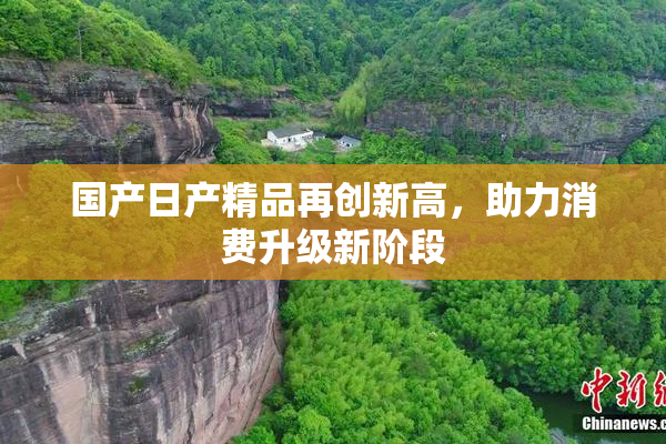 国产日产精品再创新高，助力消费升级新阶段