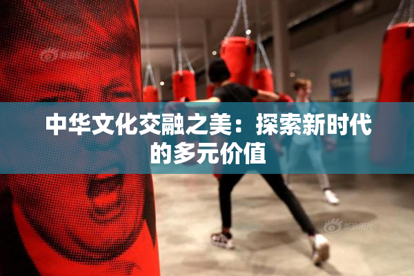 中华文化交融之美：探索新时代的多元价值