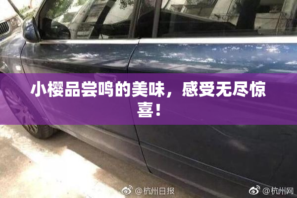 小樱品尝鸣的美味，感受无尽惊喜！