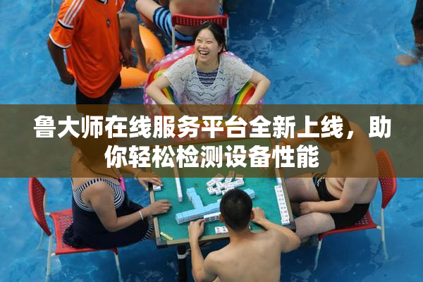 鲁大师在线服务平台全新上线，助你轻松检测设备性能