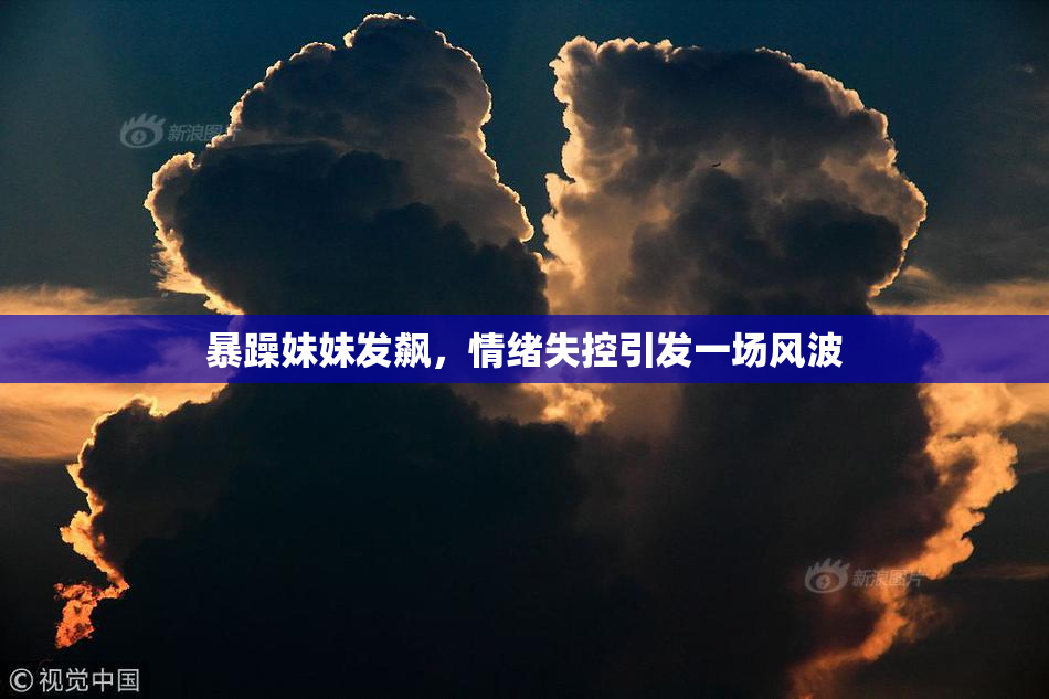暴躁妹妹发飙，情绪失控引发一场风波
