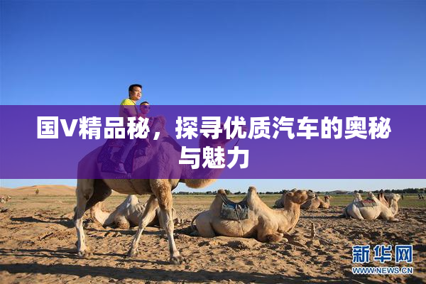 国V精品秘，探寻优质汽车的奥秘与魅力